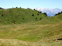 DSC02099