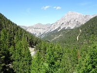 DSC02117