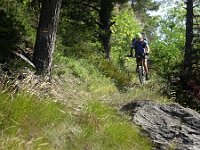 schöne Trails