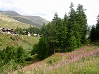 DSC02172