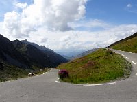 DSC02176