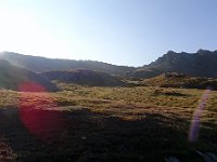 DSC02181