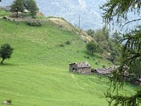 DSC02695