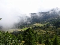 DSC02714
