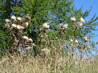 2019-09-13-26 : MTB, Transalp, Transalp 2019
