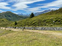 IMG 4390