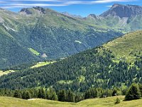 IMG E4391