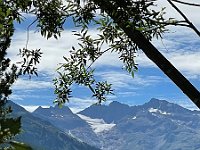 IMG E4396
