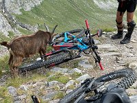 IMG 4437
