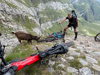 IMG 4438