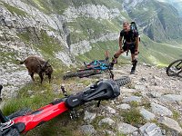 IMG 4439