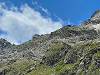 IMG 4443