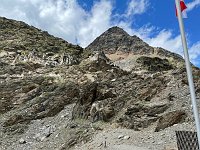 IMG 4454