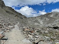 IMG 4460