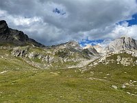 IMG 4461