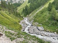 IMG 4469