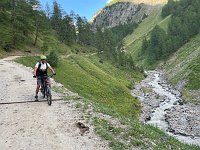 IMG 4470