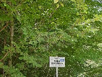 20220718-Kl-141517