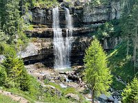 IMG 4524