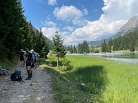 IMG 4528