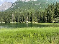 IMG 4531