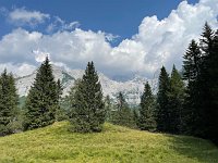IMG 4534