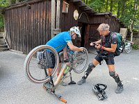 IMG 4542
