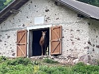 IMG E4540