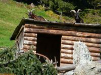 kleinwalsertal.JPG