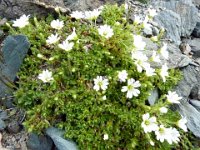 TA 20091Tag2-120 : 2. Tag, MTB, Transalp, Transalp 2009