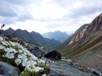 TA 20091Tag2-122 : 2. Tag, MTB, Transalp, Transalp 2009