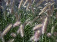 TA 2009-3-Tag-137 : 3. Tag, MTB, Transalp, Transalp 2009