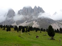 TA 2009-4-Tag-23 : 4.Tag, MTB, Transalp, Transalp 2009