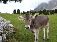 TA 2009-4-Tag-27 : 4.Tag, MTB, Transalp, Transalp 2009