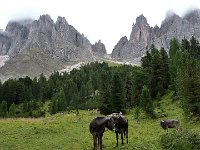 TA 2009-4-Tag-38 : 4.Tag, MTB, Transalp, Transalp 2009