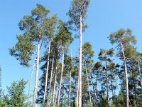 TA 2009-5-Tag-141 : 5.Tag, MTB, Transalp, Transalp 2009