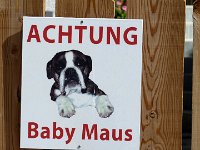 TA 2009-5-Tag-168 : 5.Tag, MTB, Transalp, Transalp 2009