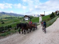 TA 2009-5-Tag-26 : 5.Tag, MTB, Transalp, Transalp 2009