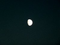 TA 2009-5-Tag-278 : 5.Tag, MTB, Transalp, Transalp 2009