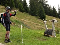 TA 2009-5-Tag-28 : 5.Tag, MTB, Transalp, Transalp 2009