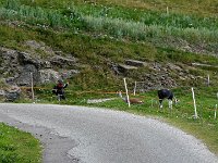 TA 2009-5-Tag-40 : 5.Tag, MTB, Transalp, Transalp 2009