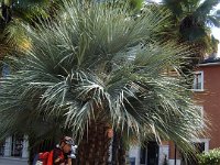 TA 2009-9-Tag-104 : 9.Tag, MTB, Transalp, Transalp 2009