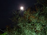 TA 2009-9-Tag-217 : 9.Tag, MTB, Transalp, Transalp 2009