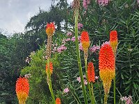 2024-AlpenX-Tag02-16 : Comersee, MTB, Transalp