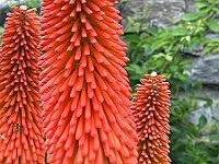 2024-AlpenX-Tag02-28 : Comersee, MTB, Transalp