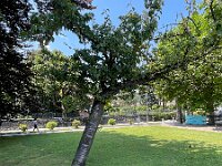 2024-AlpenX-Tag07-13 : Comersee, MTB, Transalp