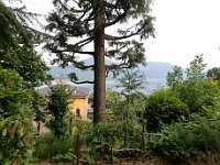 2024-AlpenX-Tag07-30 : Comersee, MTB, Transalp