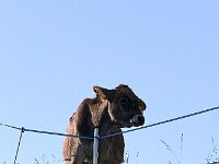 AlpenX-2025 Tag01-26 : AlpenX2025 Allgäu, MTB, Transalp