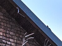 AlpenX-2025 Tag01-37 : AlpenX2025 Allgäu, MTB, Transalp