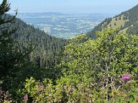 AlpenX-2025 Tag04-56 : AlpenX2025 Allgäu, MTB, Transalp